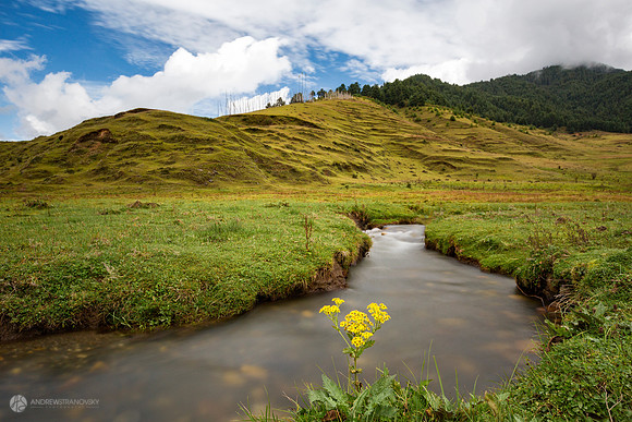 Valley of Gangtey, Bhutan