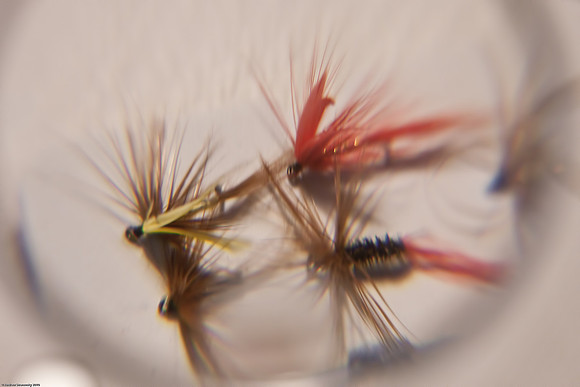 May 24, 2010, Fishing lures through a magnifying glass