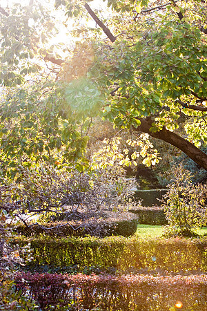 October 23, 2010, Overexposed gardens