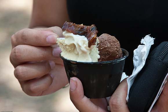 July 11, 2010, Bacon Ice Cream from Meatopia at Governor's Island, NYC