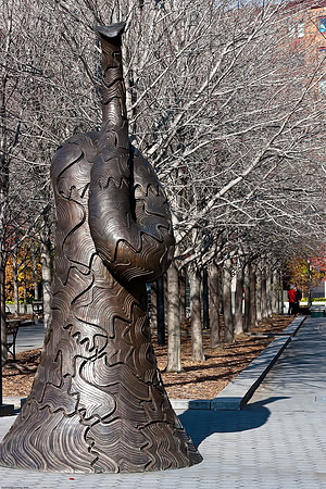 November 21, 2009, Battery Park, NYC