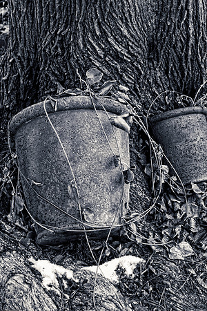 January 5, 2009, Broken pots