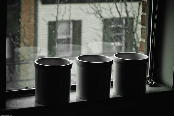 January 20, 2010, Three empty pots