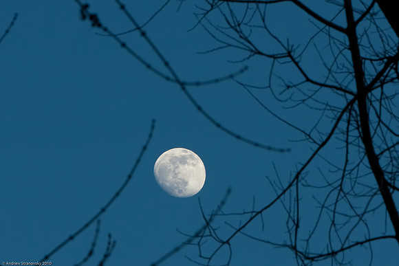 January 27, 2010, The Moon