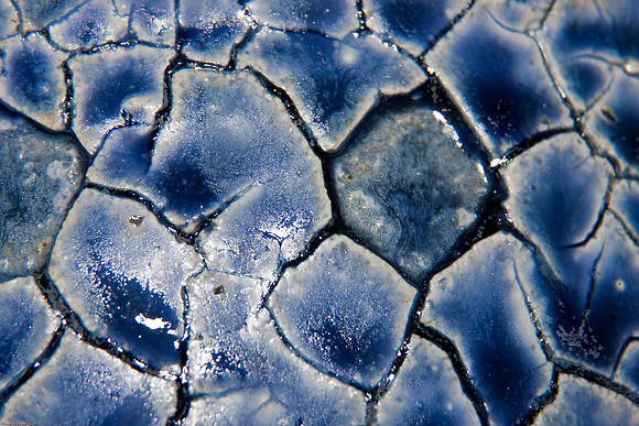 February 2, 2010, Blue Bowl (too cold to go outside)