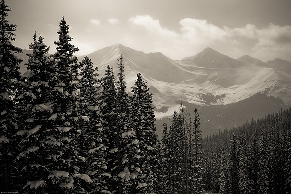 February 20, 2010, White River National Forest