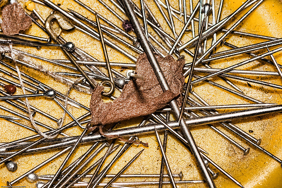 February 24, 2010, Pins and Needles