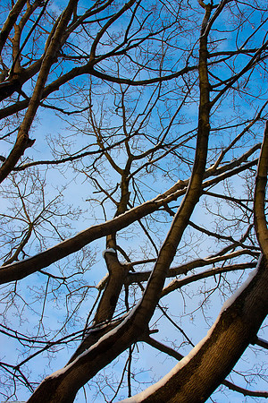 February 26, 2010, Clearing Sky
