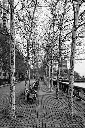 March 4, 2010, Hoboken Pier A walkway