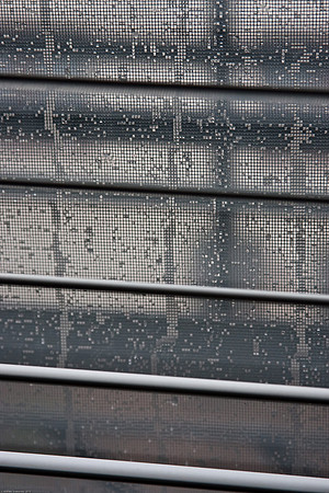March 13, 2010, Rainy and 70 mph wind gusts...