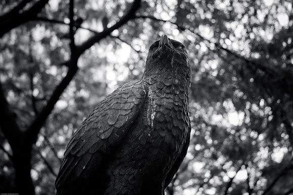 August 22, 2010, Bird Sculpture