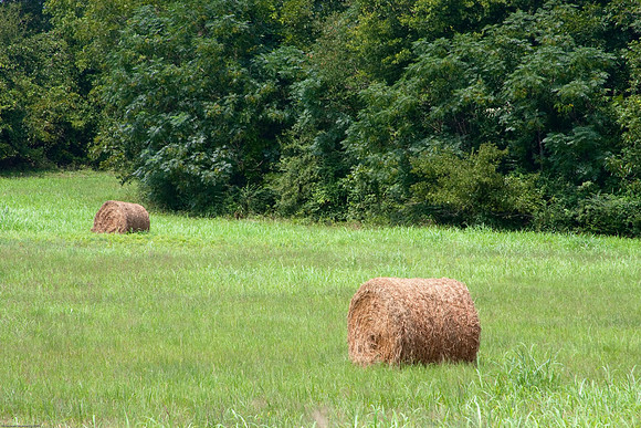 August 26, 2010, Bales of hay