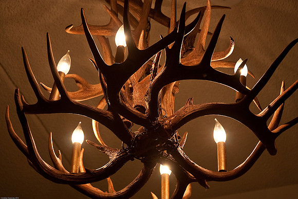 August 27, 2010, Creepy antler chandelier