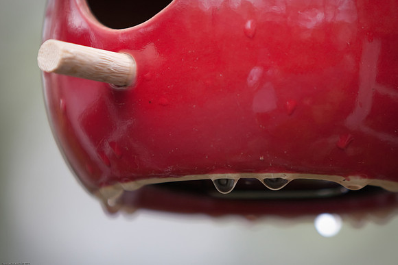 April 21, 2010, Bird feeder reflection