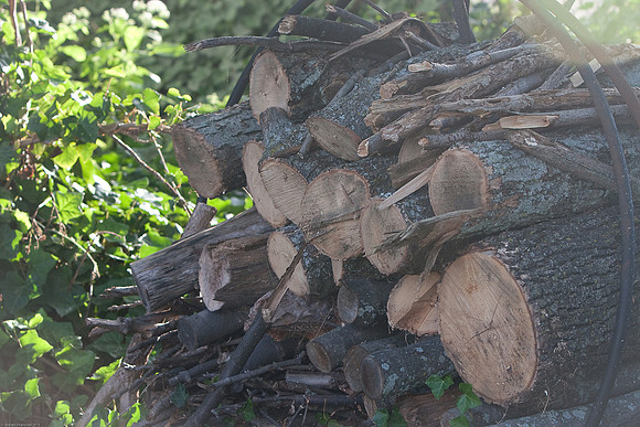 September 17, 2010, Overexposed woodpile