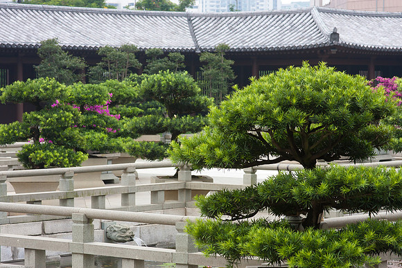 Chi Lin Nunnery, Ngau Chi Wan, Hong Kong S.A.R., China