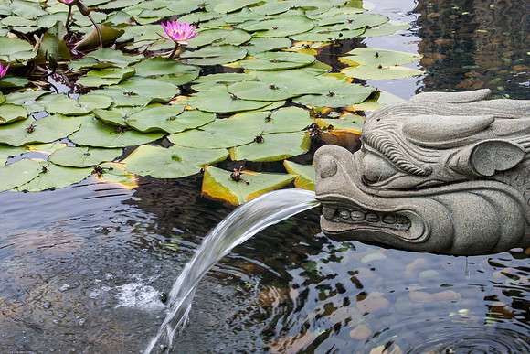 Chi Lin Nunnery, Ngau Chi Wan, Hong Kong S.A.R., China