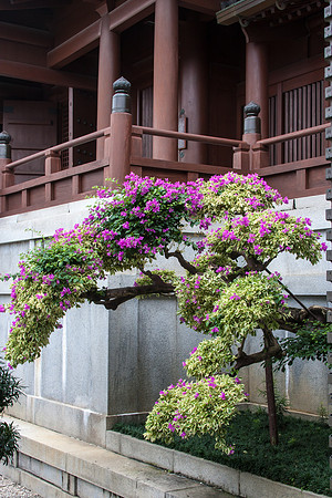 Chi Lin Nunnery, Ngau Chi Wan, Hong Kong S.A.R., China