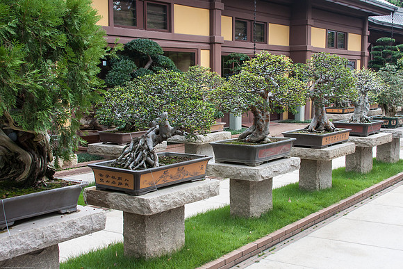 Nan Lian Garden, Ngau Chi Wan, Hong Kong S.A.R., China