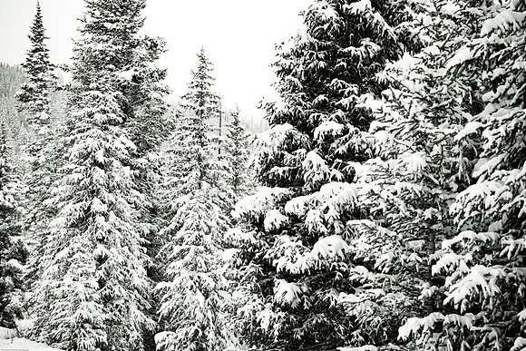 Copper Mountain, Colorado