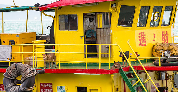 Hong Kong Harbor