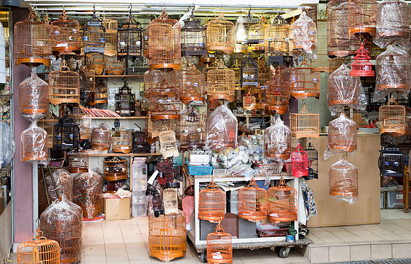 Bird Street, Hong Kong