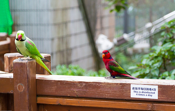 Edward Youde Aviary, Hong Kong Park