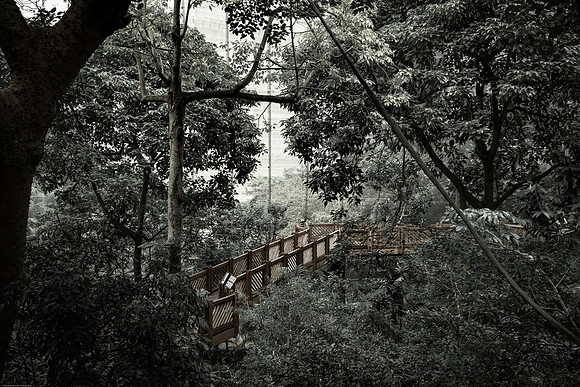 Edward Youde Aviary, Hong Kong Park