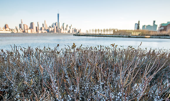 Pier C Park View