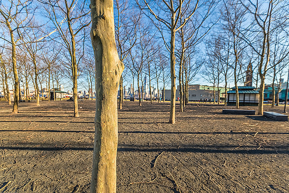 Pier A Park View