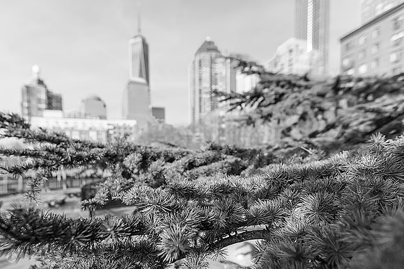 South Cove Park