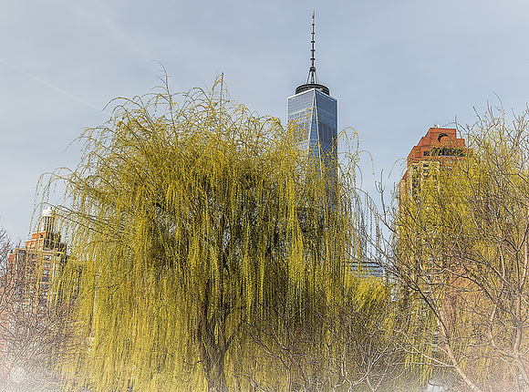 South Cove Park