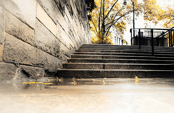 Rainy Steps