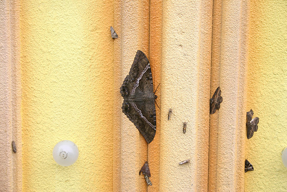 Caracas, Venezuela