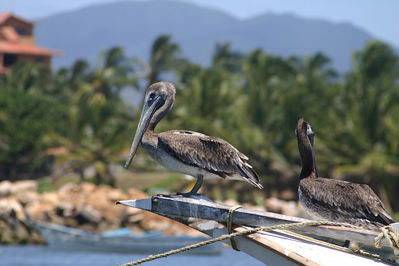 Margarita Island, Venezuela