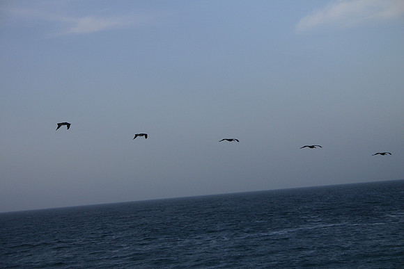 Margarita Island, Venezuela