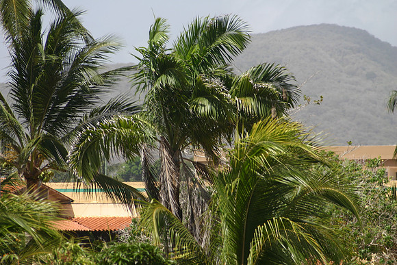 Margarita Island, Venezuela