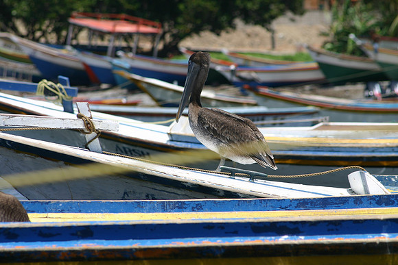 Margarita Island, Venezuela