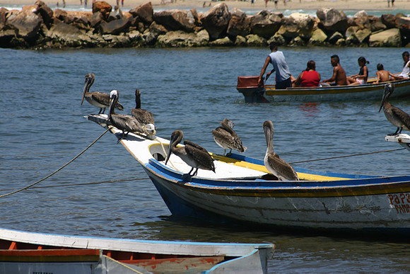 Margarita Island, Venezuela