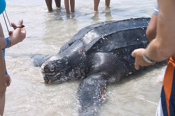 Margarita Island, Venezuela