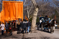 The Gates at Central Park