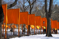 The Gates at Central Park