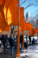 The Gates at Central Park