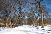 The Gates at Central Park
