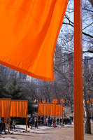 The Gates at Central Park