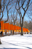 The Gates at Central Park