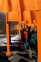 The Gates at Central Park