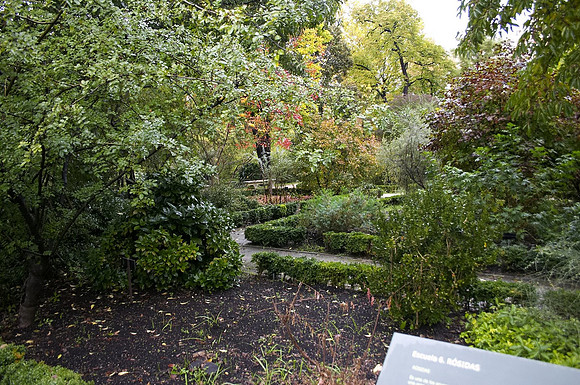 Royal Botanic Garden, Madrid, Spain