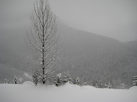 Adamants Heli-Skiing (CMH)