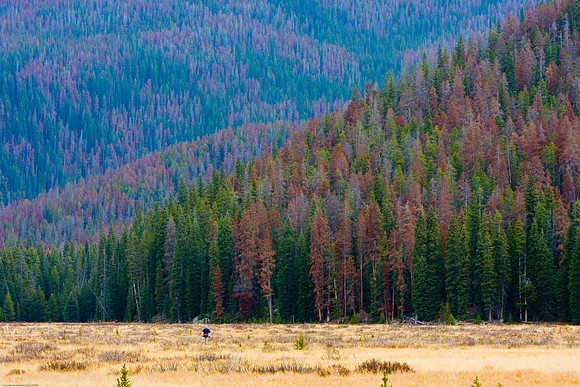 Rocky Mountain National Park